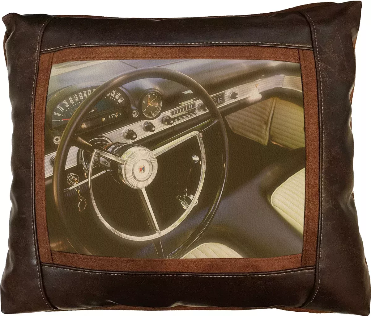 1955 T-Bird Frame Pillow by Sweetwater