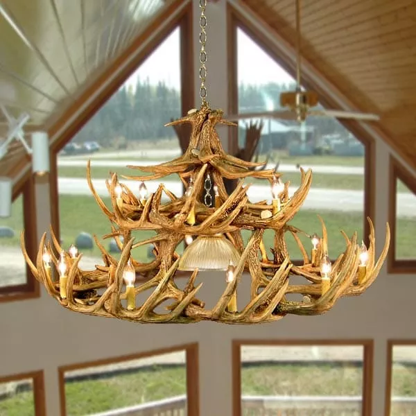 30 Antler Whitetail Chandelier