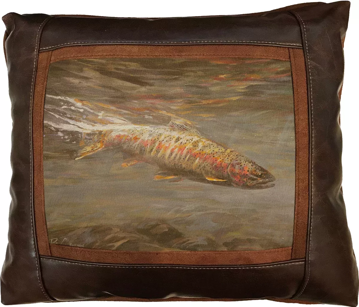 After The Take Rainbow Frame Pillow by Sweetwater