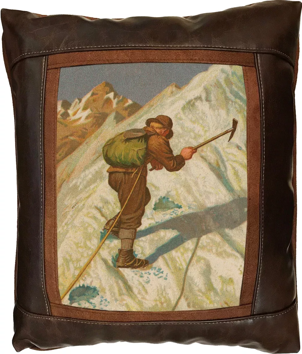 Alpinism Frame Pillow by Sweetwater