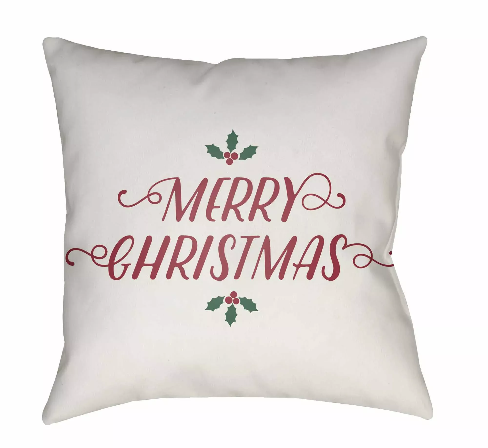 Amlimay Outdoor Throw Pillow