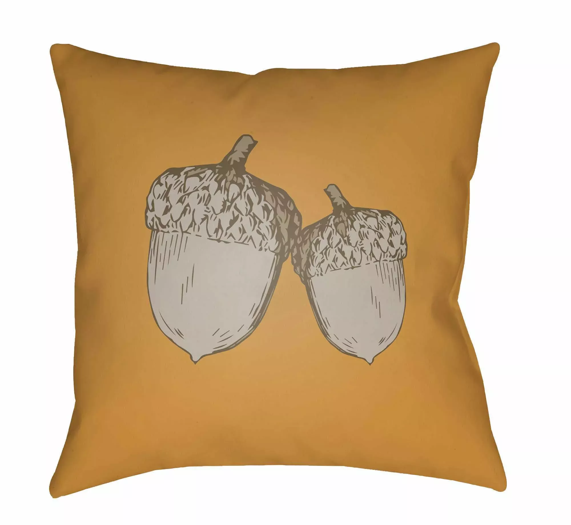 Apad Outdoor Throw Pillow
