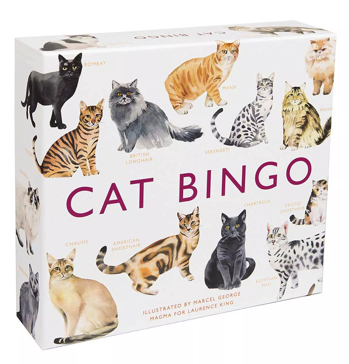 Cat Bingo