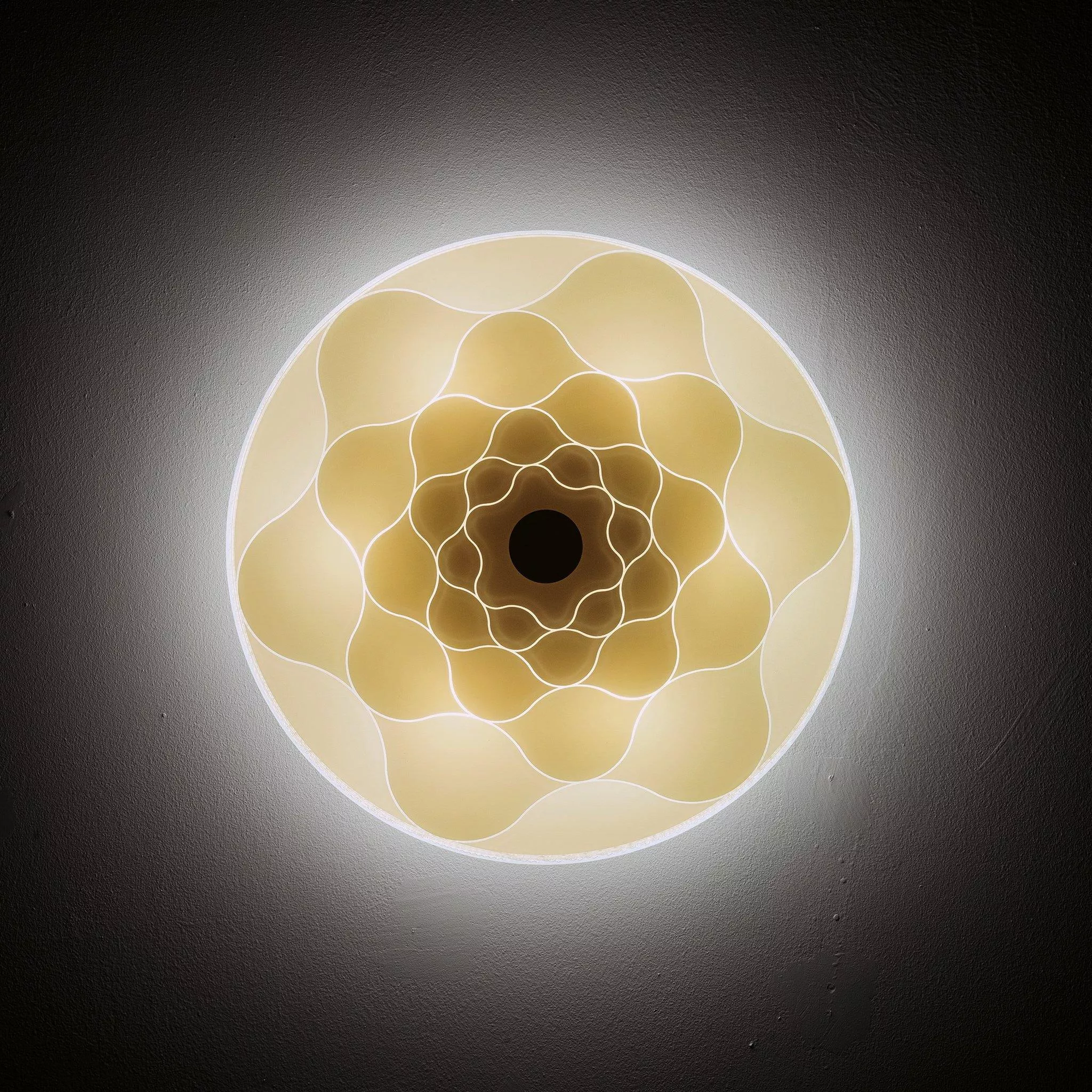 Drop Wall/Ceiling Light
