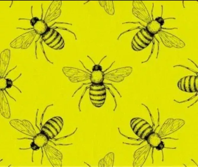 Euroscrubby Bees Dishcloth