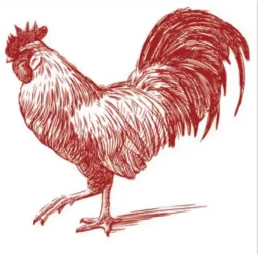 Euroscrubby Rooster Dishcloth
