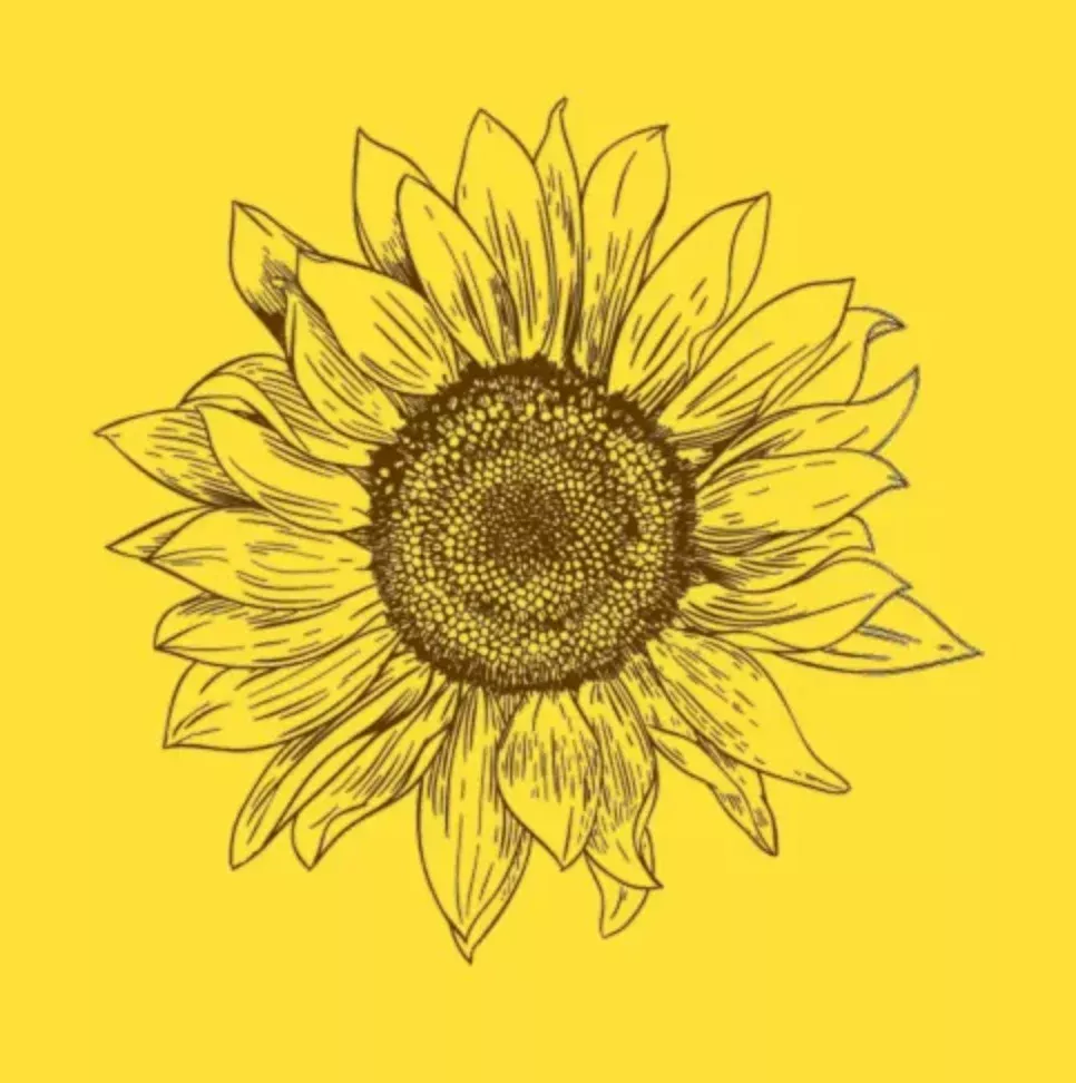Euroscrubby Sunflower Dishcloth