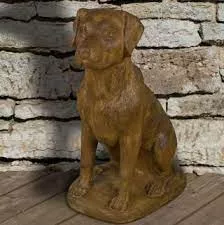Labrador