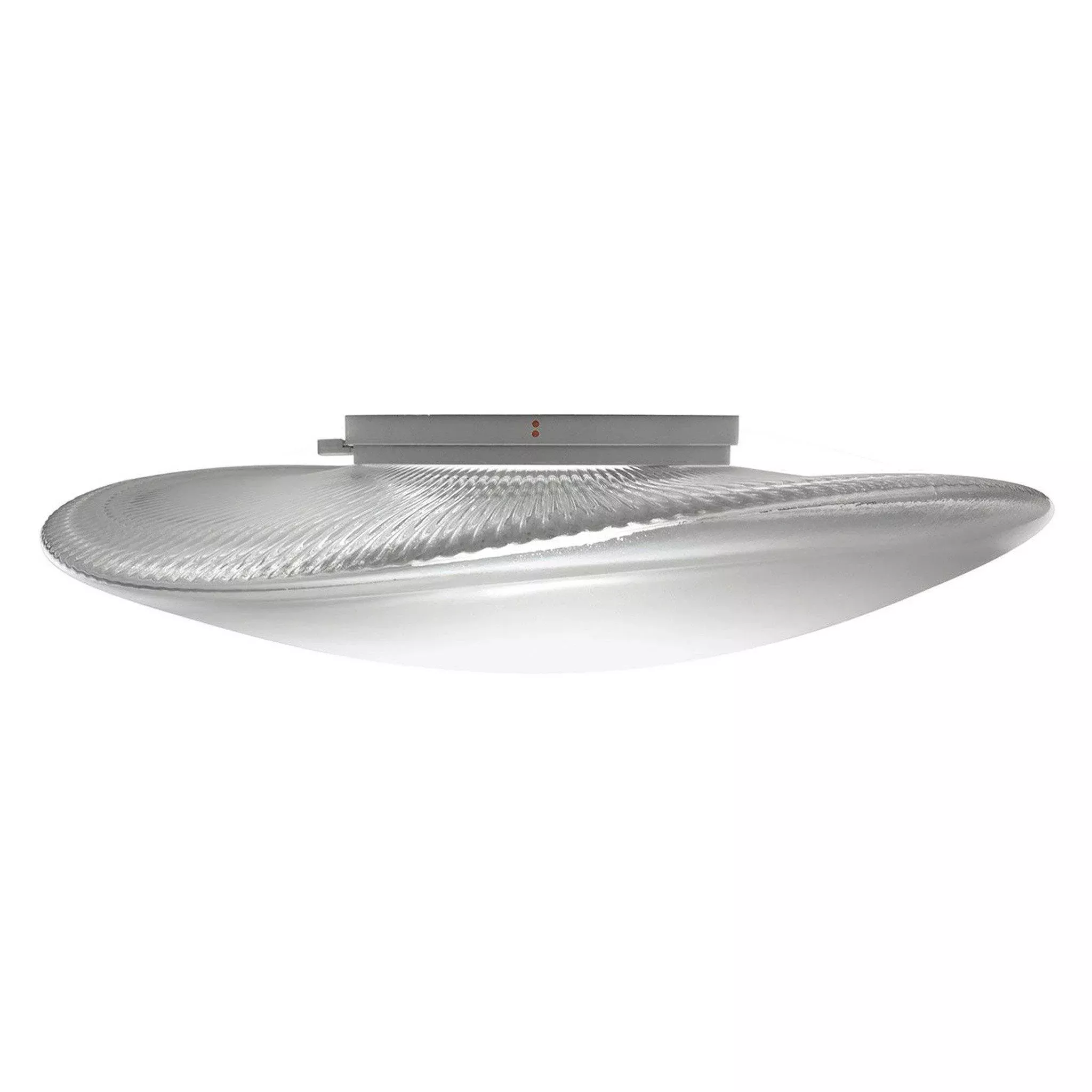 Loop Wall/Ceiling Light