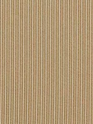 YANG | STRAW